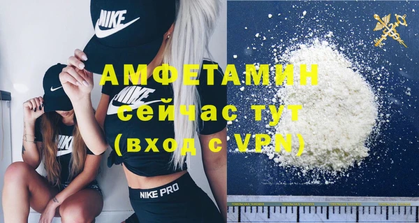 шишки Балахна