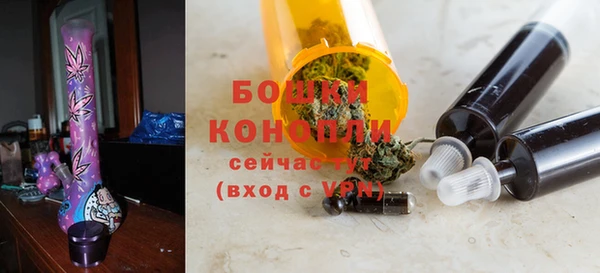 шишки Балахна