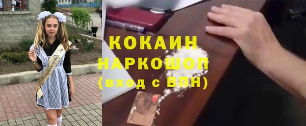 шишки Балахна