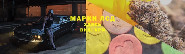 эйфоретик Баксан