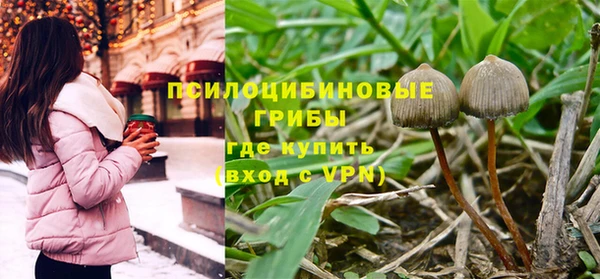 эйфоретик Баксан