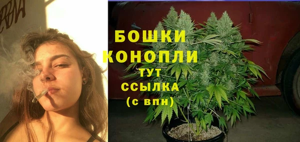 шишки Балахна