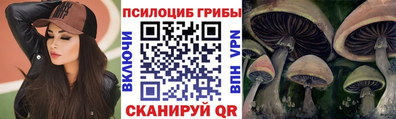 Купить где  Моршанск  Псилоцибиновые грибы Psilocybe 